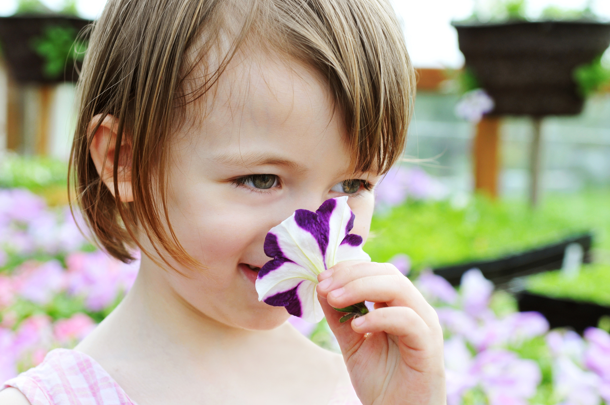 Обоняние детей. Нюхает цветы. Ребенок нюхает цветок. Обоняние для детей. Понюхать цветы.