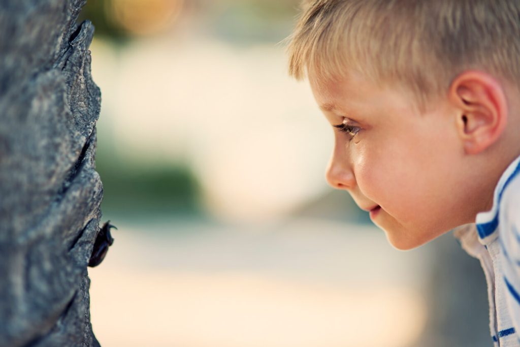 A boy looking closely at a beetle on a tree