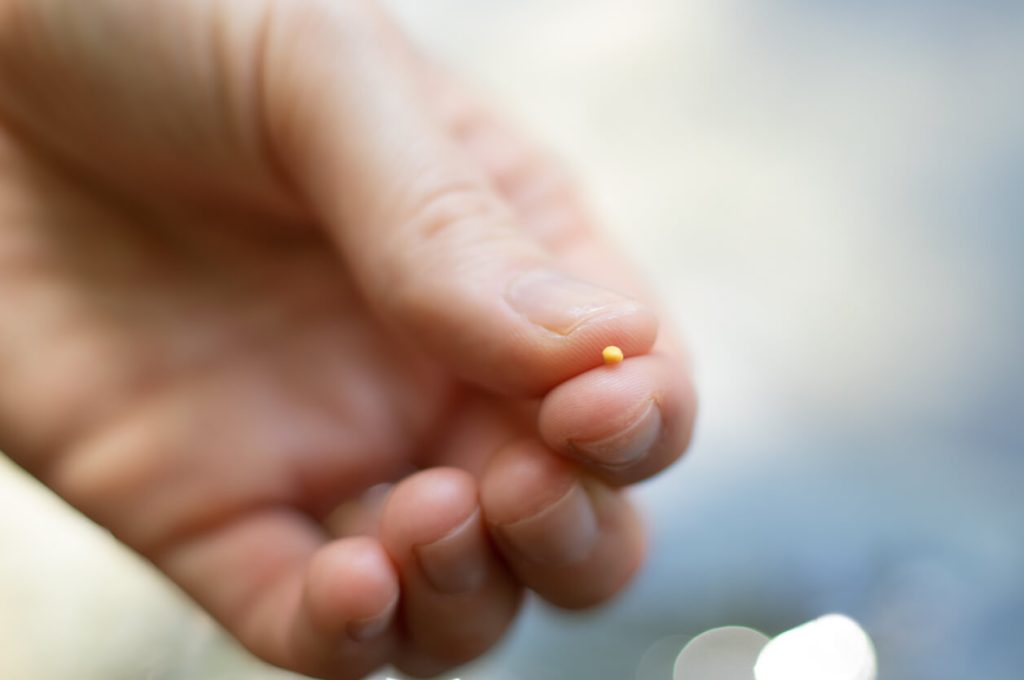 Someone holding a tiny mustard seed in their hand