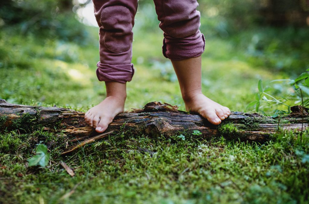 An image of a kid's legs as they stand on fallen log with bare feet. They are wearing brown pants that are rolled up unevenly and the ground is wet and green like it just rained.